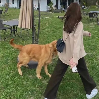 杀戮炼